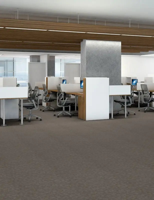 Broadloom - Forge - Carpet Philadelphia Commercial