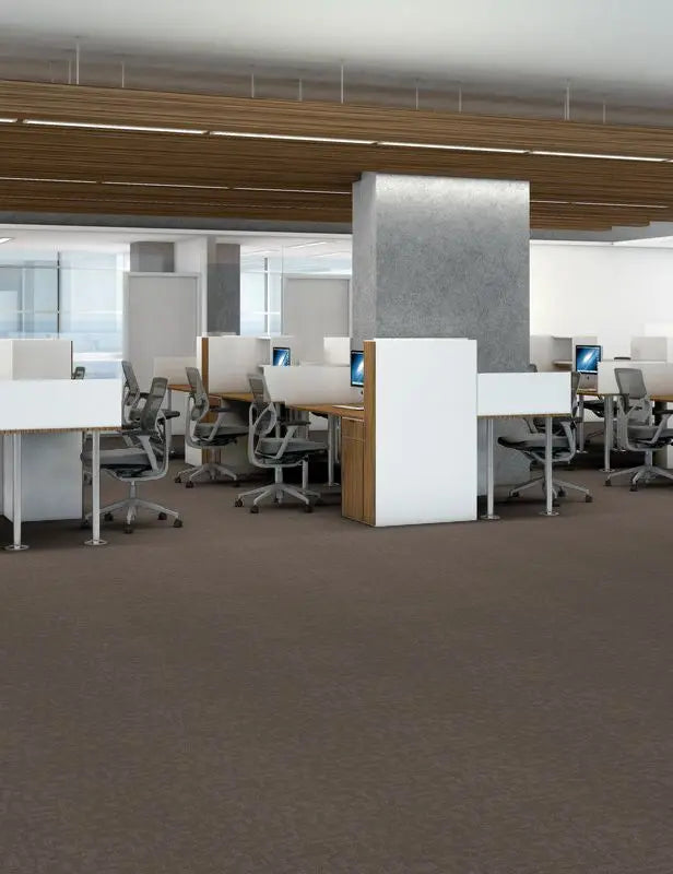 Broadloom - Forge - Carpet Philadelphia Commercial
