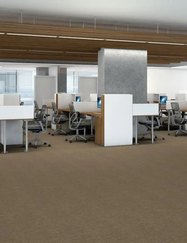Broadloom - Profusion 26 - Carpet Philadelphia Commercial