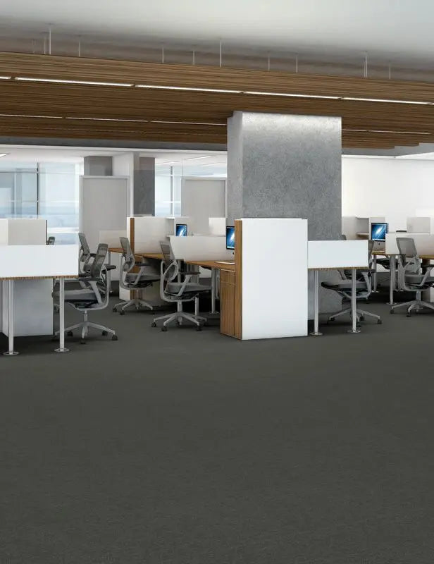 Broadloom - Profusion 26 - Carpet Philadelphia Commercial