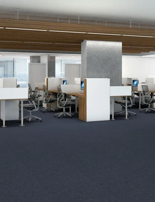 Broadloom - Profusion 26 - Carpet Philadelphia Commercial