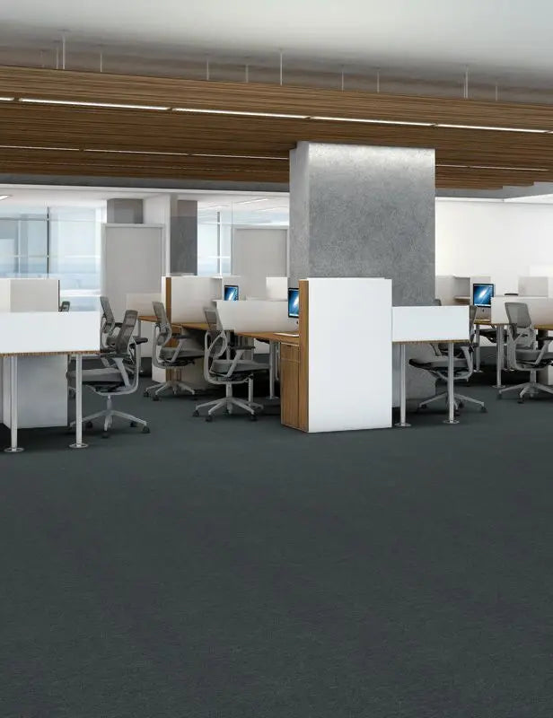 Broadloom - Profusion 26 - Carpet Philadelphia Commercial