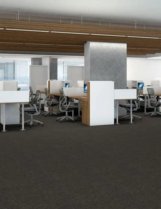 Broadloom - Profusion 26 - Carpet Philadelphia Commercial