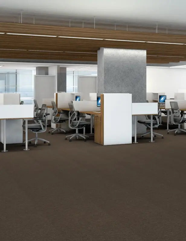 Broadloom - Profusion 26 - Carpet Philadelphia Commercial