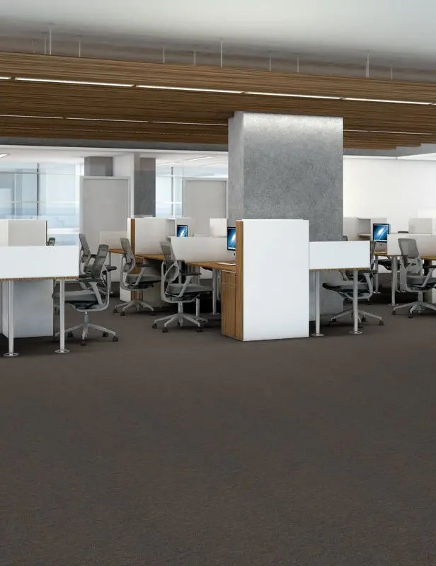 Broadloom - Profusion 26 - Carpet Philadelphia Commercial