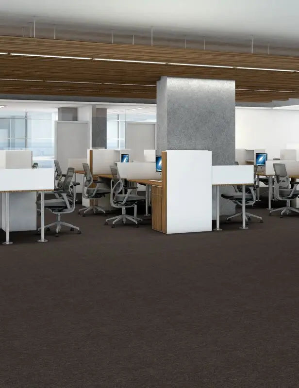 Broadloom - Profusion 26 - Carpet Philadelphia Commercial