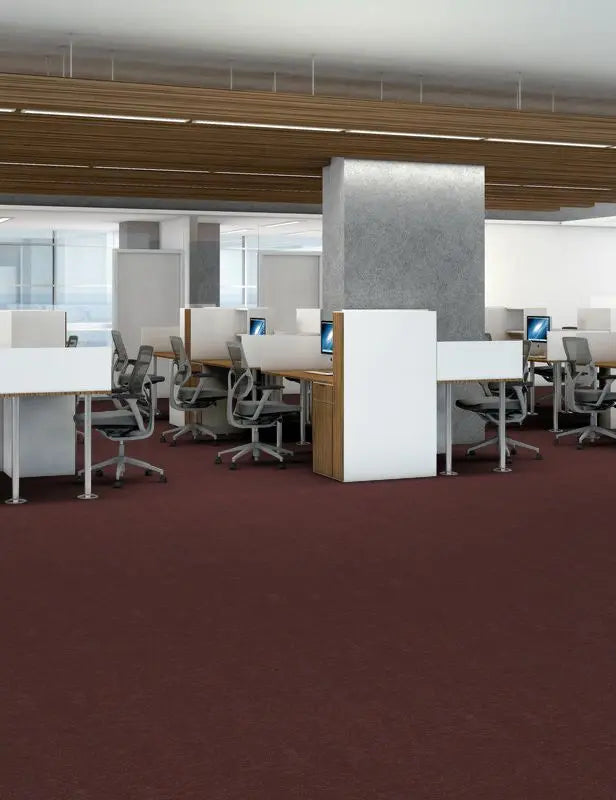 Broadloom - Profusion 26 - Carpet Philadelphia Commercial