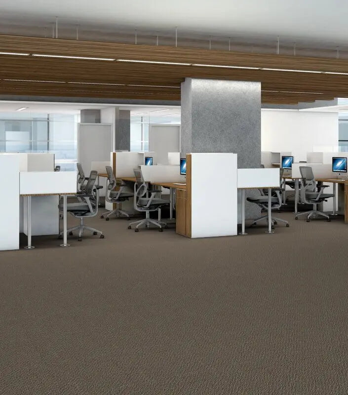Broadloom - Changinattepbl - Carpet Philadelphia Commercial