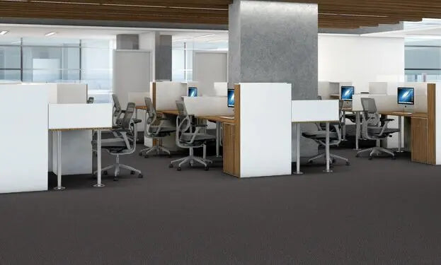 Broadloom - Changinattepbl - Carpet Philadelphia Commercial