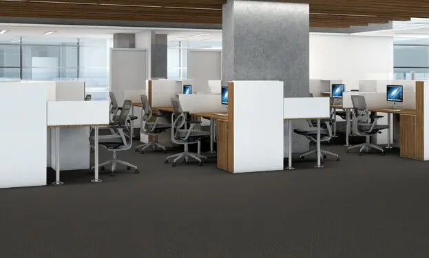 Broadloom - Changinattepbl - Carpet Philadelphia Commercial