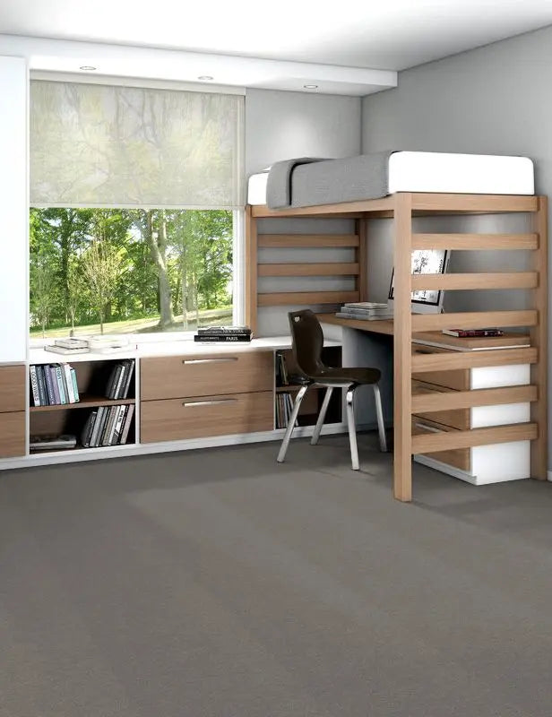 Broadloom - Profusion 20 - Carpet Philadelphia Commercial