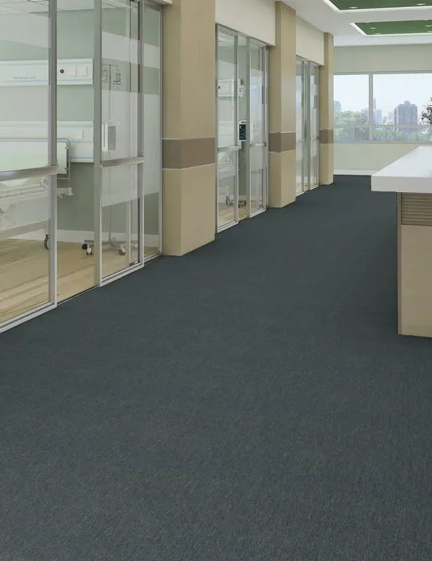 Broadloom - Profusion 20 - Carpet Philadelphia Commercial