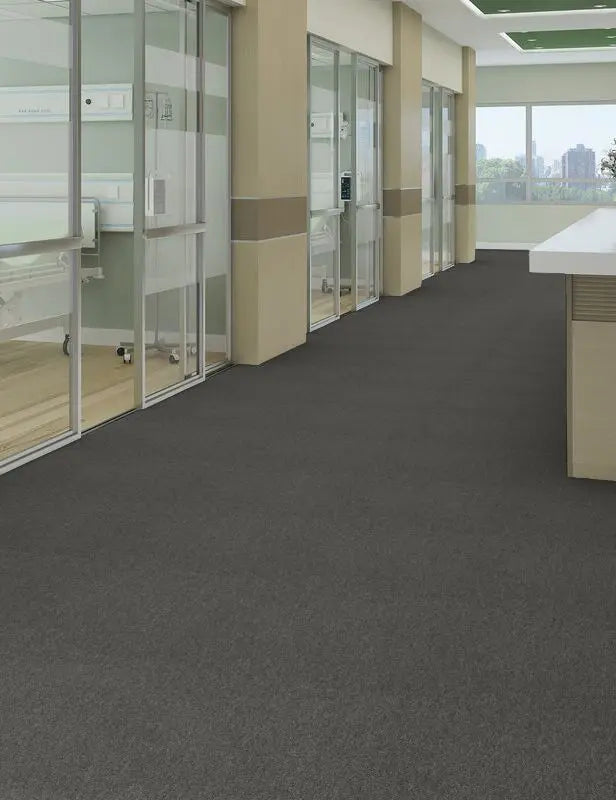Broadloom - Profusion 20 - Carpet Philadelphia Commercial