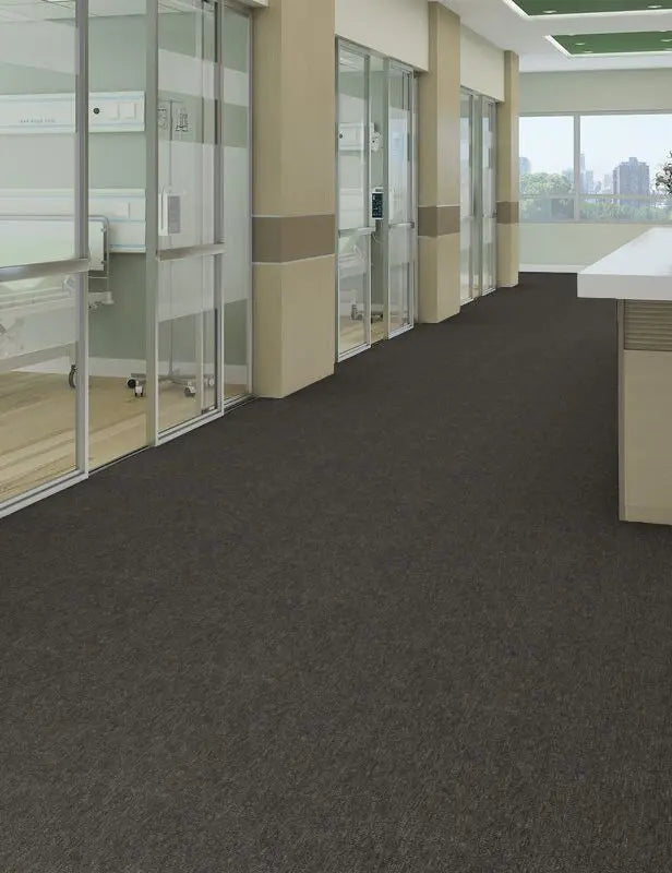 Broadloom - Profusion 20 - Carpet Philadelphia Commercial