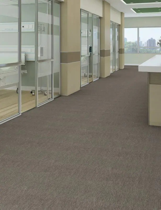 Broadloom - Profusion 20 - Carpet Philadelphia Commercial