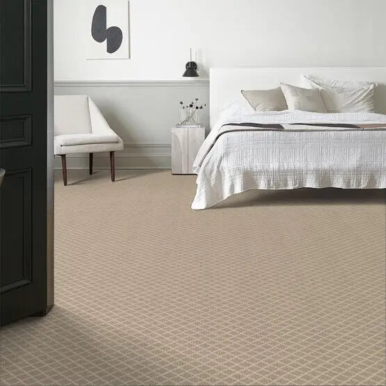 Pet Perfect - Springer's Point - Carpet Anderson Tuftex
