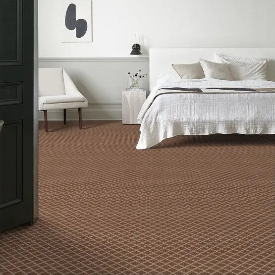 Pet Perfect - Springer's Point - Carpet Anderson Tuftex