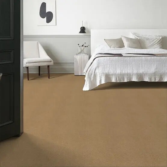 Pet Perfect - Pawparazzi II - Carpet Anderson Tuftex