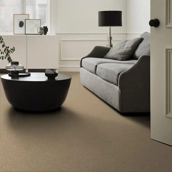 Pet Perfect - Sasha - Carpet Anderson Tuftex