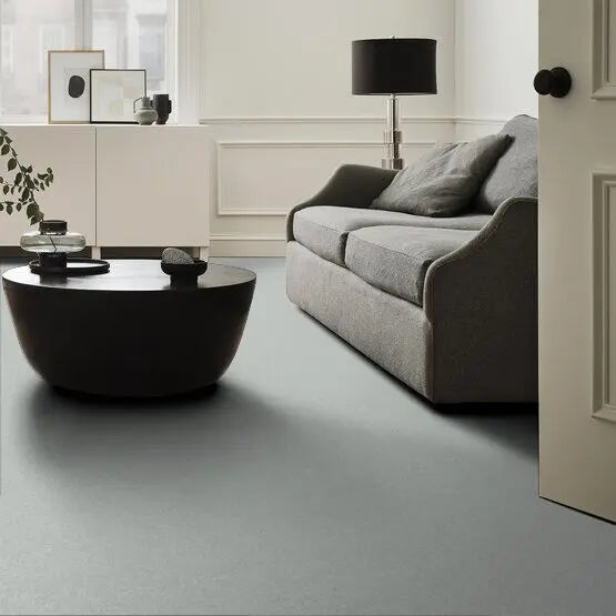 Pet Perfect - Gus - Carpet Anderson Tuftex