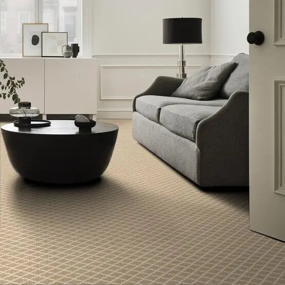 Pet Perfect - Springer's Point - Carpet Anderson Tuftex