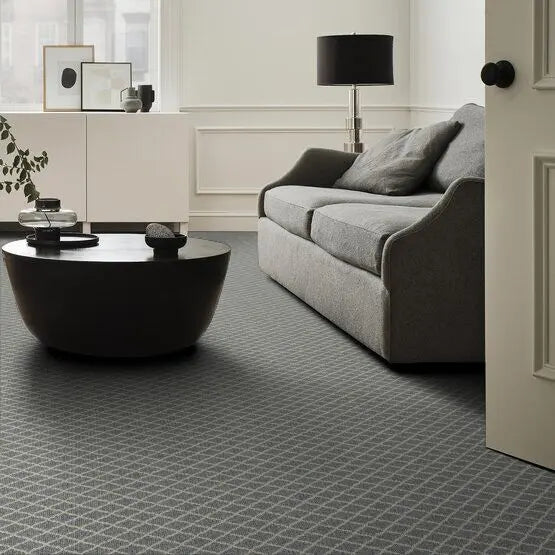 Pet Perfect - Springer's Point - Carpet Anderson Tuftex