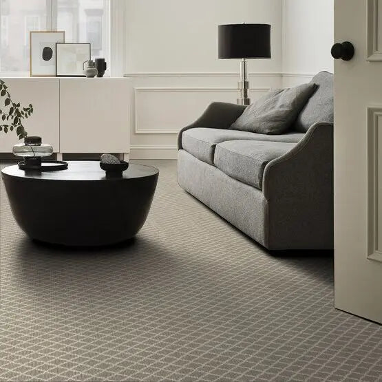 Pet Perfect - Springer's Point - Carpet Anderson Tuftex