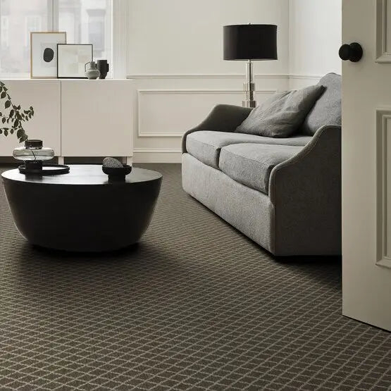Pet Perfect - Springer's Point - Carpet Anderson Tuftex