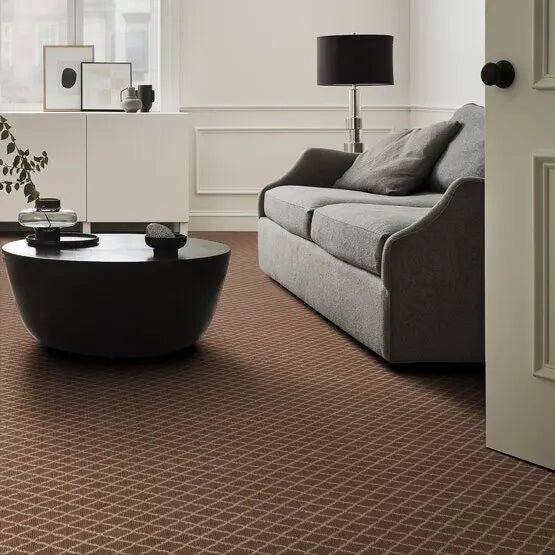 Pet Perfect - Springer's Point - Carpet Anderson Tuftex