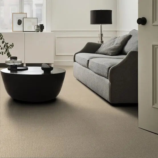 Pet Perfect - Fetch - Carpet Anderson Tuftex