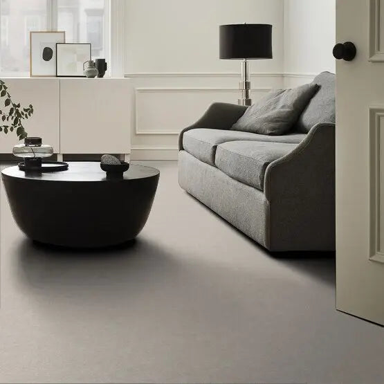 Pet Perfect - Pawparazzi I - Carpet Anderson Tuftex