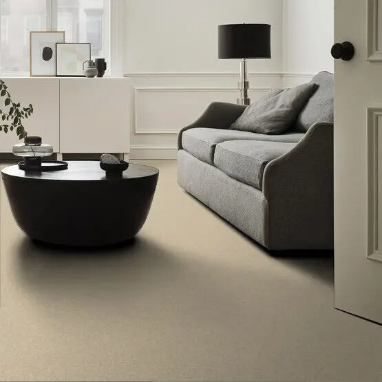 Pet Perfect - Pawparazzi II - Carpet Anderson Tuftex
