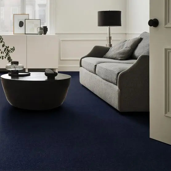 Pet Perfect - Pawparazzi II - Carpet Anderson Tuftex