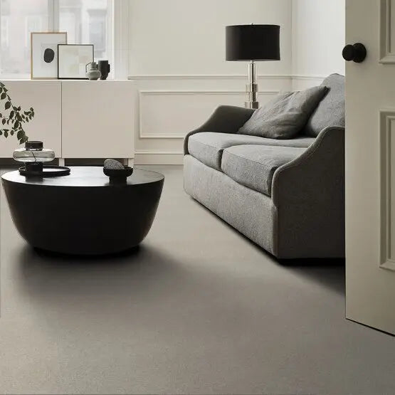 Pet Perfect - Pawparazzi II - Carpet Anderson Tuftex