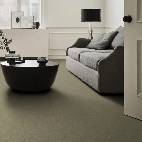Pet Perfect - Pawparazzi II - Carpet Anderson Tuftex
