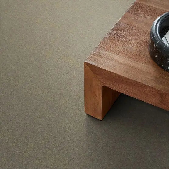 Pet Perfect - Cooper - Carpet Anderson Tuftex