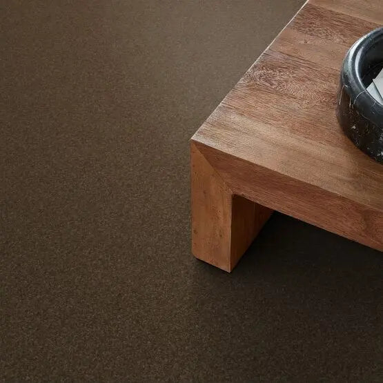 Pet Perfect - Cooper - Carpet Anderson Tuftex