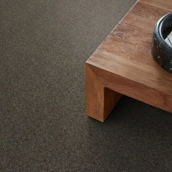 Pet Perfect - Cooper - Carpet Anderson Tuftex