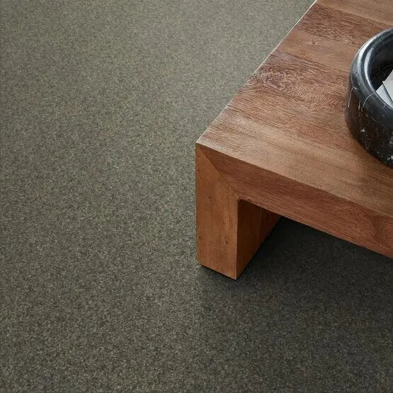 Pet Perfect - Cooper - Carpet Anderson Tuftex