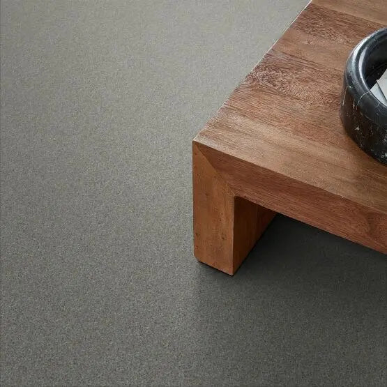 Pet Perfect - Sasha - Carpet Anderson Tuftex