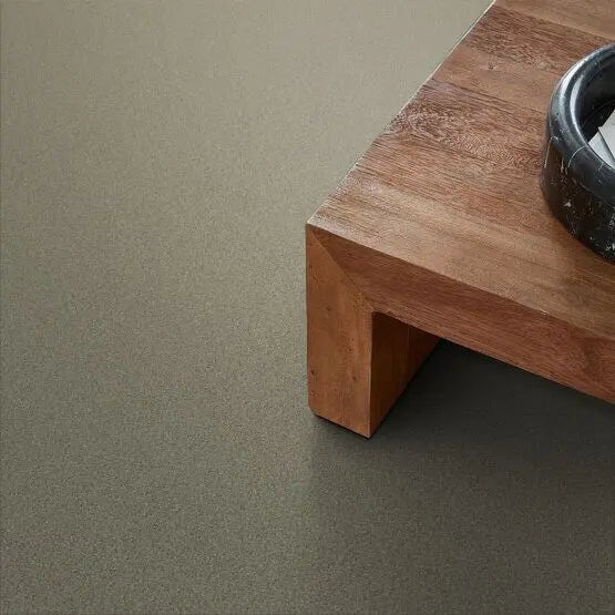 Pet Perfect - On Point - Carpet Anderson Tuftex