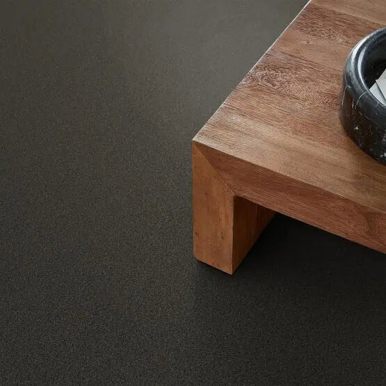 Pet Perfect - On Point - Carpet Anderson Tuftex