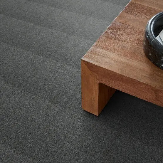 Pet Perfect - Mollie's Turn - Carpet Anderson Tuftex