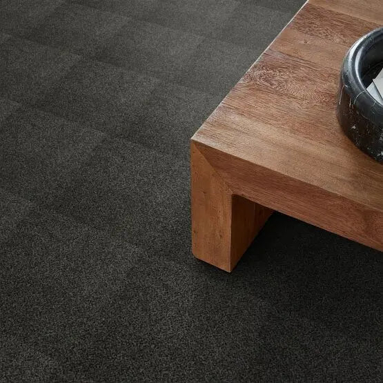 Pet Perfect - Mollie's Turn - Carpet Anderson Tuftex