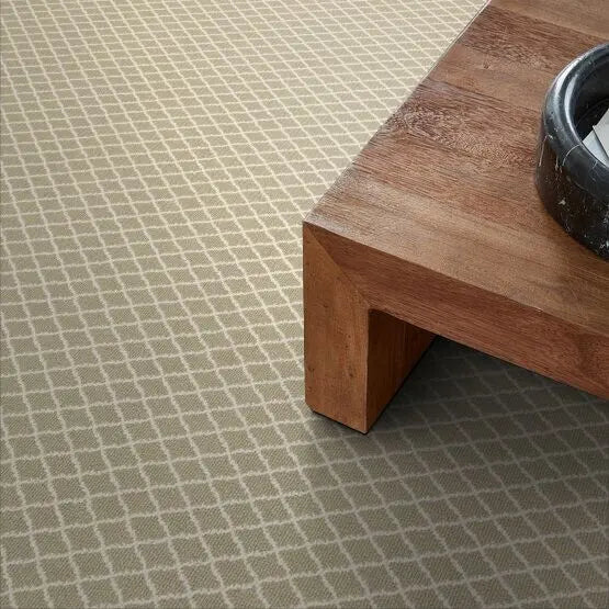 Pet Perfect - Springer's Point - Carpet Anderson Tuftex