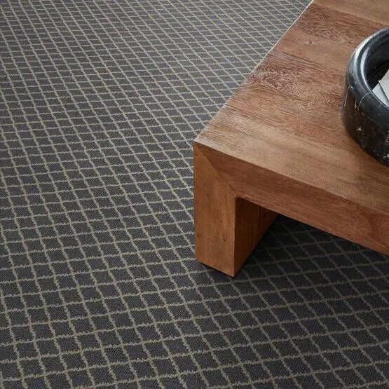 Pet Perfect - Springer's Point - Carpet Anderson Tuftex