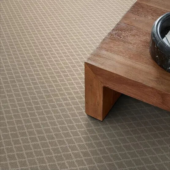 Pet Perfect - Springer's Point - Carpet Anderson Tuftex