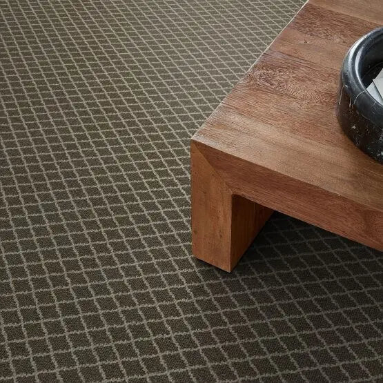 Pet Perfect - Springer's Point - Carpet Anderson Tuftex