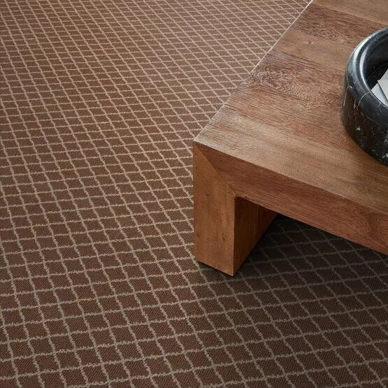 Pet Perfect - Springer's Point - Carpet Anderson Tuftex