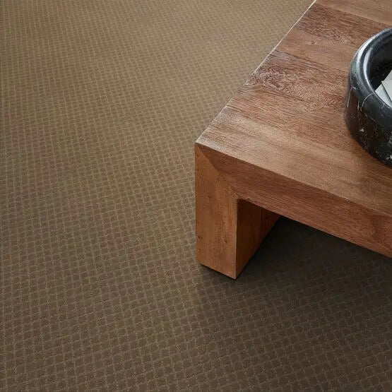 Pet Perfect - Pawnache - Carpet Anderson Tuftex